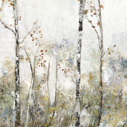 Picture of SOFT BIRCH FOREST II 