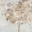 Picture of GOLDEN SHIMMERING TREE 