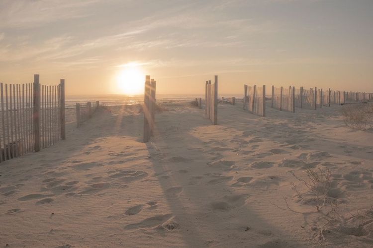 Picture of SUNSET BEACH DUNE 