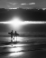 Picture of LETS SURF UNTIL THE SUN GOES DOWN 