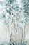 Picture of BLUE BIRCH FOREST 