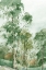 Picture of GREEN WOODLANDS 