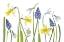 Picture of SPRING