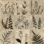 Picture of STONE TILE SILHOUETTE I