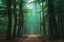 Picture of ROAD OF MYSTERIES