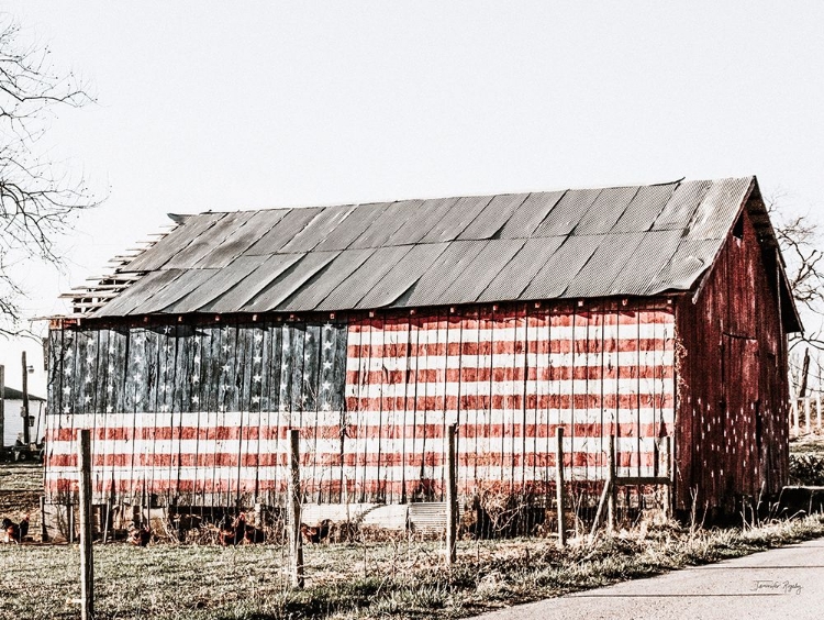 Picture of AMERICAN FLAG BARN
