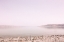 Picture of PASTEL SEA I