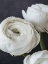 Picture of REFINED BEAUTY II