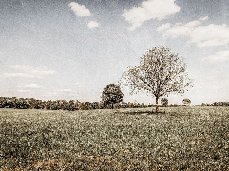 Picture of TOGETHER IN THE FIELDS I