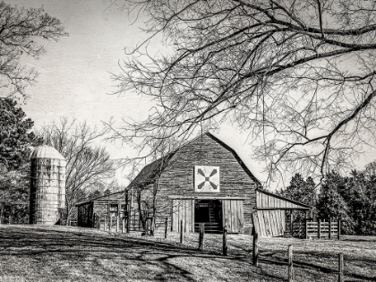 Picture of AT HOME IN THE BARN