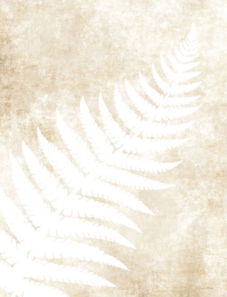 Picture of FERN FROND 1