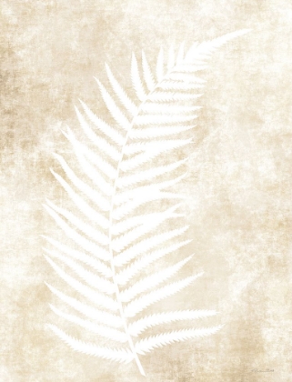 Picture of FERN FROND 2