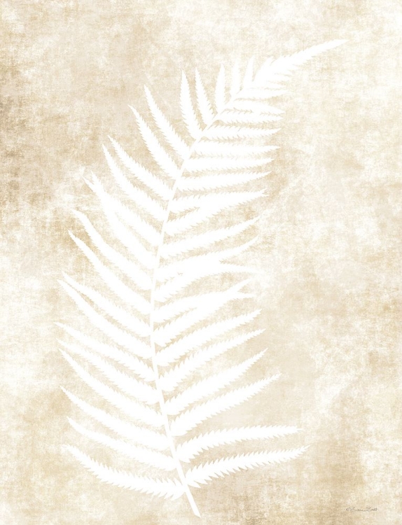 Picture of FERN FROND 2