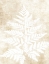 Picture of FERN FROND 3