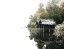 Picture of DOCS ON THE LAKE