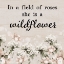 Picture of SHE IS A WILDFLOWER