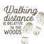 Picture of LOST IN WOODS VI-WALKING DISTANCE