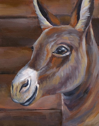 Picture of BARN DONKEY
