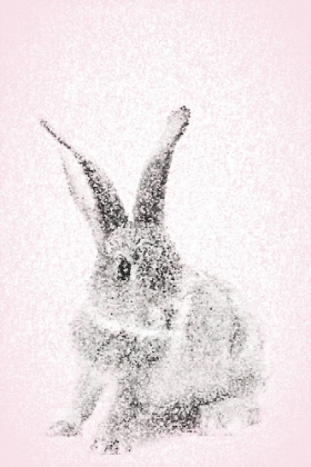 Picture of PINK BUNNY I