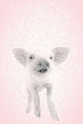 Picture of PINK PIG II