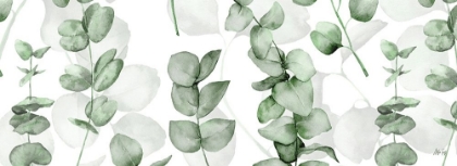 Picture of EUCALYPTUS GREEN