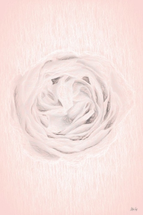 Picture of POWDER ROSE