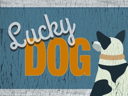 Picture of LUCKY DOG