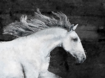 Picture of WHITE HORSE