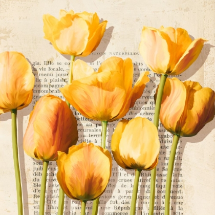 Picture of HISTOIRES DE TULIPES (DETAIL)