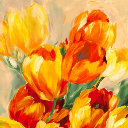 Picture of TULIPS IN THE SUN I