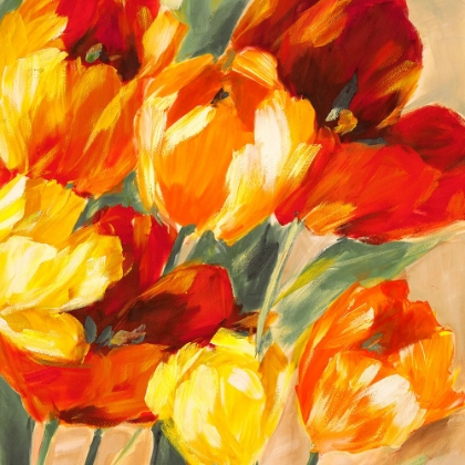 Picture of TULIPS IN THE SUN II