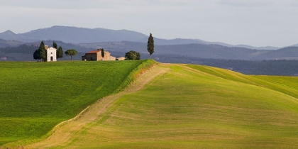 Picture of VAL DORCIA-SIENA-TUSCANY (DETAIL)