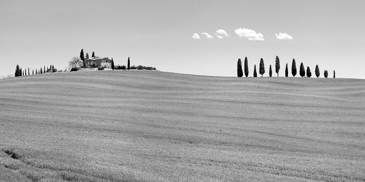 Picture of STRADA DEL BRUNELLO-TUSCANY (BW)