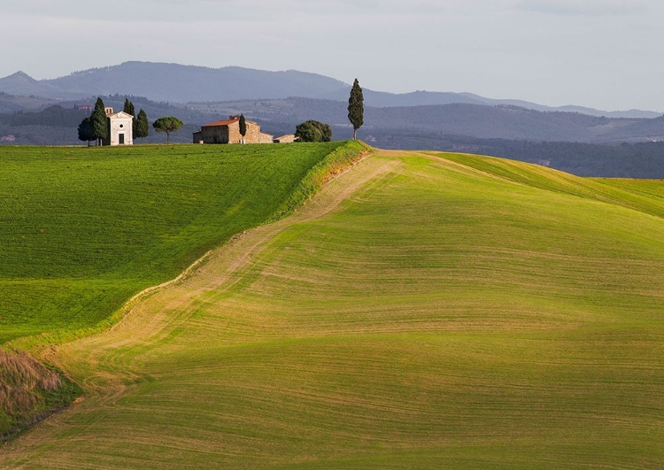 Picture of VAL DORCIA-SIENA-TUSCANY