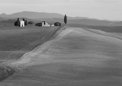 Picture of VAL DORCIA-SIENA-TUSCANY (BW)