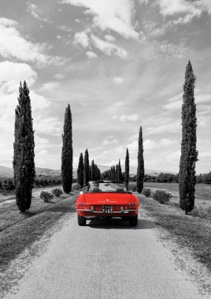 Picture of SPORTSCAR IN TUSCANY (BW)