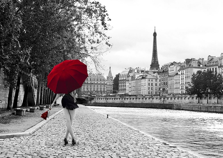 Picture of QUAI DE LA SEINE