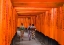 Picture of FUSHIMI INARI SHRINE-KYOTO