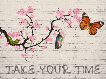 Picture of TAKE YOUR TIME