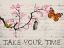 Picture of TAKE YOUR TIME