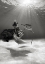 Picture of DANCING IN THE OCEAN