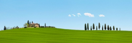 Picture of STRADA DEL BRUNELLO-TUSCANY (DETAIL)