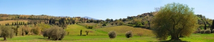 Picture of VAL DORCIA-SIENA-TUSCANY