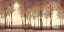 Picture of FOREST PANEL