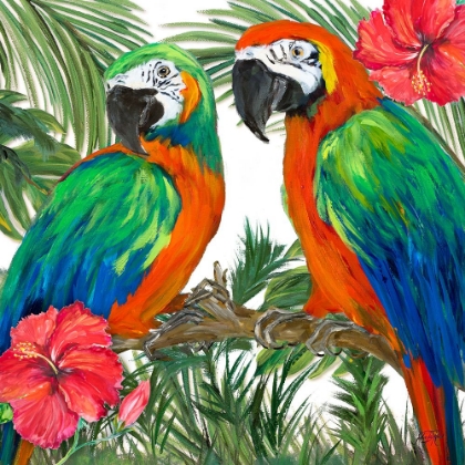 Picture of ISLAND BIRDS