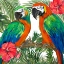 Picture of ISLAND BIRDS