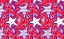 Picture of PATRIOTIC PAISLEY II