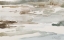 Picture of NATURAL ABSTRACT