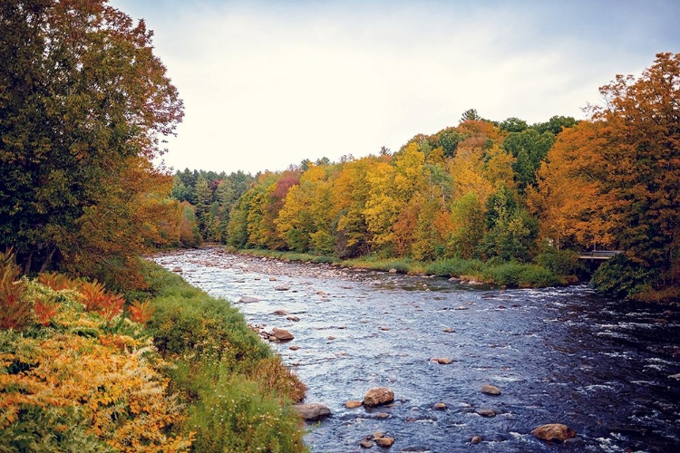 Picture of SCENIC RIVER