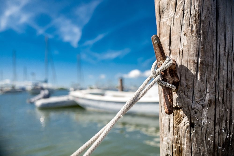 Picture of SECURE MOORING